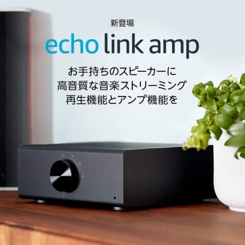 echo link amp